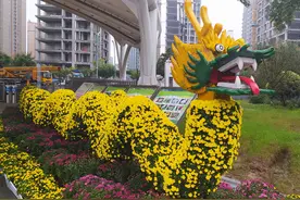 西安植物园，值得一游的植物王国图片