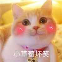 微博“小黄文”到底谁写的?我扒出它背后惊人的秘密
