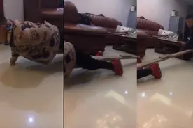 千万别让爸爸带娃健身：玩起"不倒翁"，画面搞笑又温馨图片