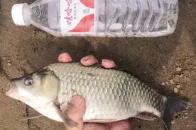 沉寂几天之后，来一场酣畅淋漓的狂拉图片