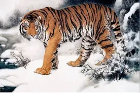 俗语“人到四十五，正是出山虎”在讲什么？古人为何这样说？图片