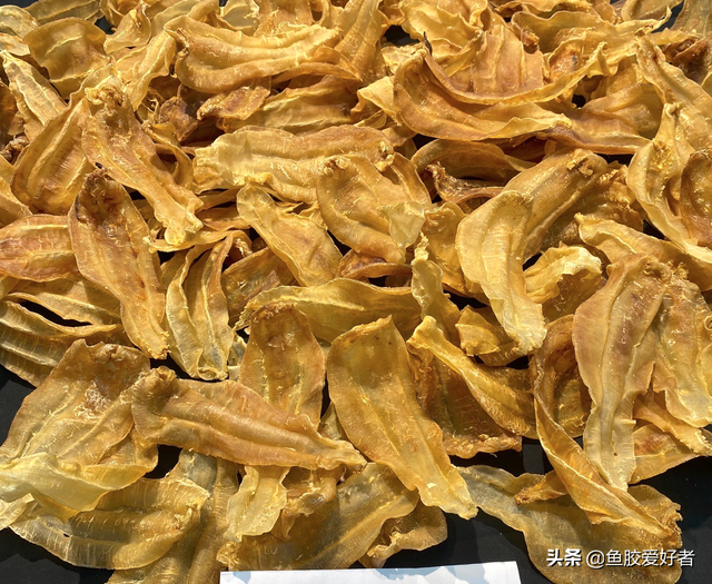 小土赤嘴鳘鱼胶 小赤嘴鳘鱼胶的功效