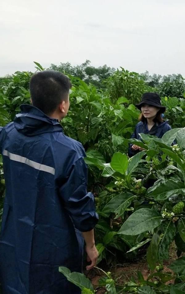 海南农业领军企业---东方嘉品源农业科技开发有限公司