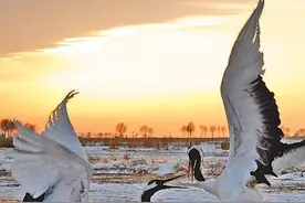 在齐齐哈尔生活，究竟是种什么体验？图片