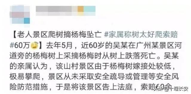 这个讹人的老太太还扬言:“病好了我要杀他”,住院老太太一句话引发全网愤怒....