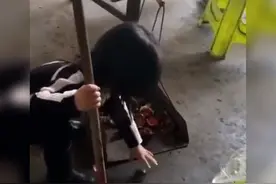 “脑洞大开的宝宝”因扫栗子皮走红，网友：日常迷惑行为，你不懂图片