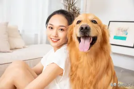 最“上镜”汪星人来袭！来看看专业的狗狗模特如何拍摄图片