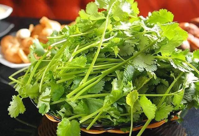 香菜的功效与作用禁忌(爱吃香菜的朋友请注意香菜虽香) - 经验百科