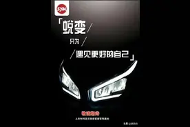 九妹终于要养成了女王范儿，三阳JZ300欲将旧貌换新颜？图片