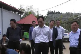 淅川县委书记卢捍卫深入上集镇督导调研产业发展工作图片