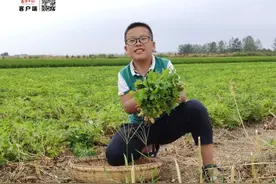 一个保送北大清华，一个10岁写小说！这就是传说中“别人家的孩子”图片