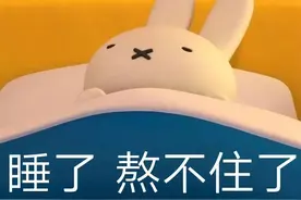 表情包：睡了，熬不住了图片