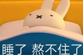 表情包：睡了，熬不住了图片