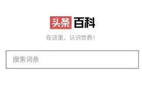 “后浪”头条搜索上线“头条百科”，会否撼动“前浪”百度搜索图片