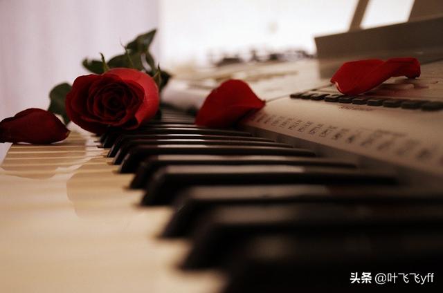 情感散文：镌刻在灵魂深处的《卡农》