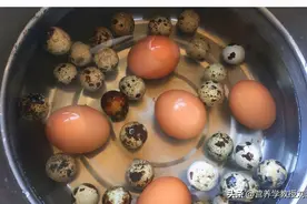 鹌鹑蛋被视为保健型蛋，它具体有什么保健功效呢？该怎样吃呢？图片
