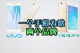 为什么步步高公司和华为公司，一个公司要出两个手机品牌？