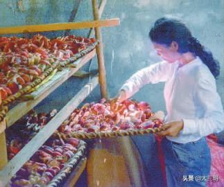 这里红菇为啥这么红？