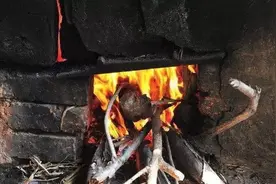 专家：国家应禁止农民烧柴做饭？找了十几万篇，却发现没有这专家图片