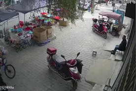 专在农村集会上偷手机全程被拍下，这俩贼被西安阎良警方抓获图片