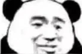 熊猫表情包｜他来了他来了图片