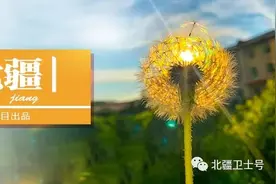 倾听·北疆 | 你还欠我一个婚礼图片
