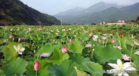 一读就错！湖南这20个地名难倒了90%的湖南人