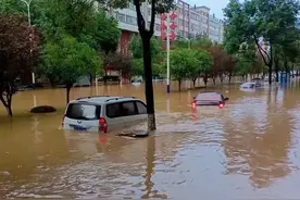 陕西勉县突降暴雨：城区积水最深达90厘米，一失联村庄已恢复通讯图片