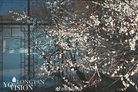 全福二十四章 | 立冬： 水始冰，地始冻，万物收藏图片