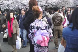 浪漫！东京樱花的打卡地！ | 钱塘社科百秒快讲图片