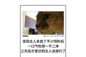 爱奇艺员工：35大龄社畜，上个月被裁，拿到大型国企offer，开心图片