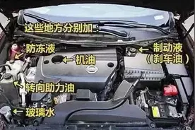 车上各种油液多久换一次？别再找了，都给你整理好了图片