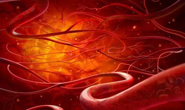 肽的十大功效与作用 肽的十大功效与作用适用人群是哪些