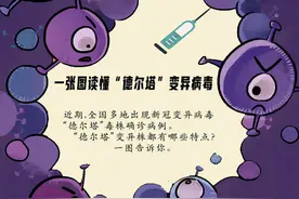 一图读懂“德尔塔”变异株特点图片