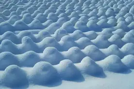 去还是不去图片