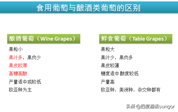 10年经验1篇文章，细数行业内幕，让你更懂葡萄酒