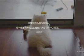 林夕50句虐心歌词，哪一句让你感同身受了：不介意孤独比爱你舒服图片