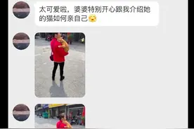 老奶奶像抱孙子一样抱着橘猫，它黏人眼神也犀利：我胖我骄傲！图片