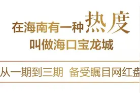 海口宝龙城三期中央景观楼尊11月9日开盘，多重大礼圆梦正当时图片