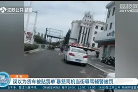 暴怒司机当街攻击并辱骂辅警，辅警一脸莫名其妙：“我没贴罚单”图片