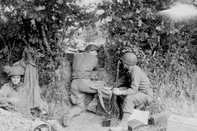 诺曼底登陆后盟军就能高歌猛进？早着呢，先过了树篱这一关吧图片