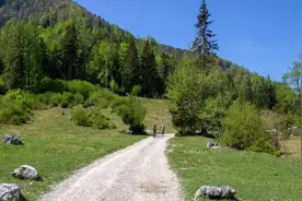 快来看！沈阳再推两条春游骑行线路图片
