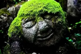 “面善心狠，一看便知”：有这两个特征者，往往面善心狠，要远离图片