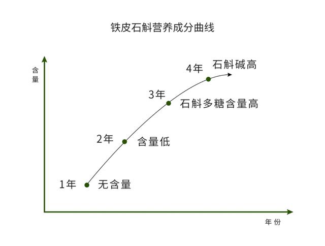 石斛怎么辨别真假好坏 石斛怎么辨别真假好坏图片