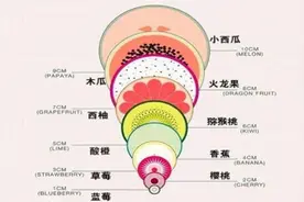 开十指到底开多大？机智医生用水果做比喻，没有想象中那么可怕图片