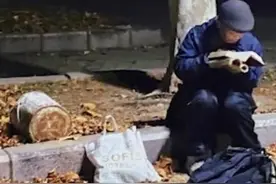 路灯下的读书照，震撼了多少年轻人图片