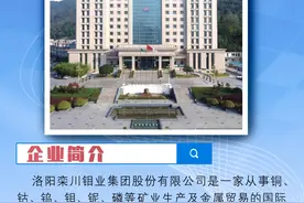 还在等什么？洛阳钼业2020年招聘来了图片