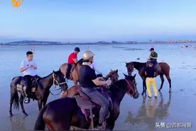 三男子策马冲入海中救人！网友：像极了古代大侠图片