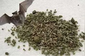 奇奇怪怪的中药之粪便篇图片