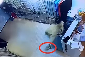 深圳：女子给老鼠一脚，老鼠受惊后慌不择路，直接钻裙底“避难”图片